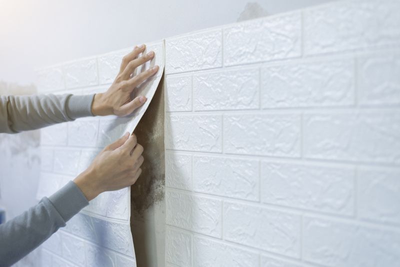 Wall Covering Installation in Olathe, KS